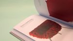 livro-cadeiras-4