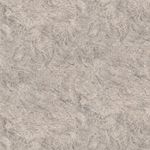 PP5054-Quartz---BR