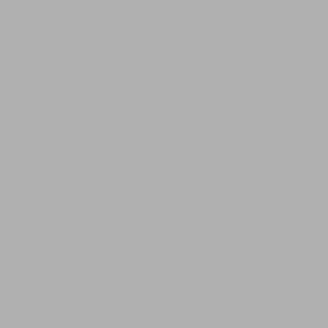 Fórmica Standard Silver Matrix PP5870 Texturizado 3.080x1.250x0,8mm Pertech