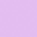PP3604-Uva----EN