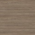 PP7968-Thuja---LG