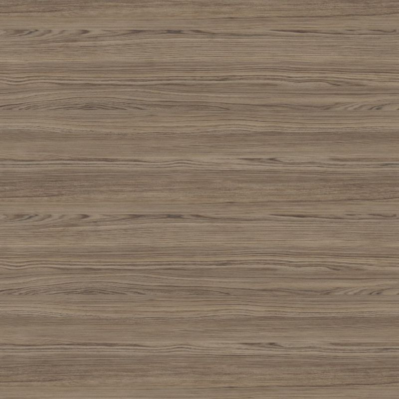 PP7968-Thuja---LG