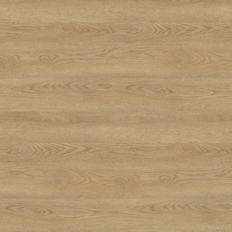 PP7989-Century-Oak---UP