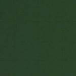 PP5865-Lousa-Verde-Quadriculada