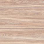 mdf-bp-trend-zenrys-arauco-imagem-01