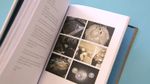 livro_zanini_2