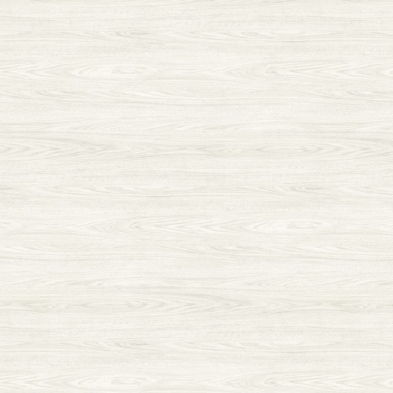 mdf-bp-trend-gales-imagem-01