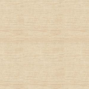 Compensado Paricá 2.500 x 1.600 x 06mm