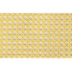 fibra-de-rattan-papel-vegetal-rs24-imagem-01