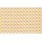 fibra-de-rattan-natural-rs26-imagem-01