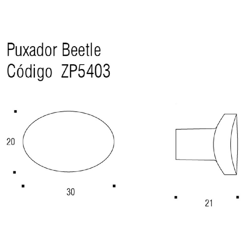 beetle_sem_base_medidas